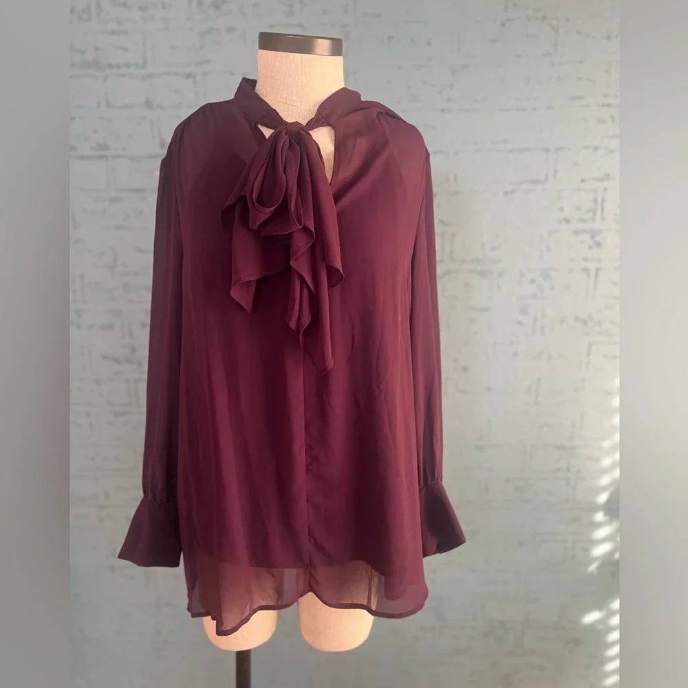 NWT Women’s Plus Size DR2 2x Eggplant business casual pullover with neck tie